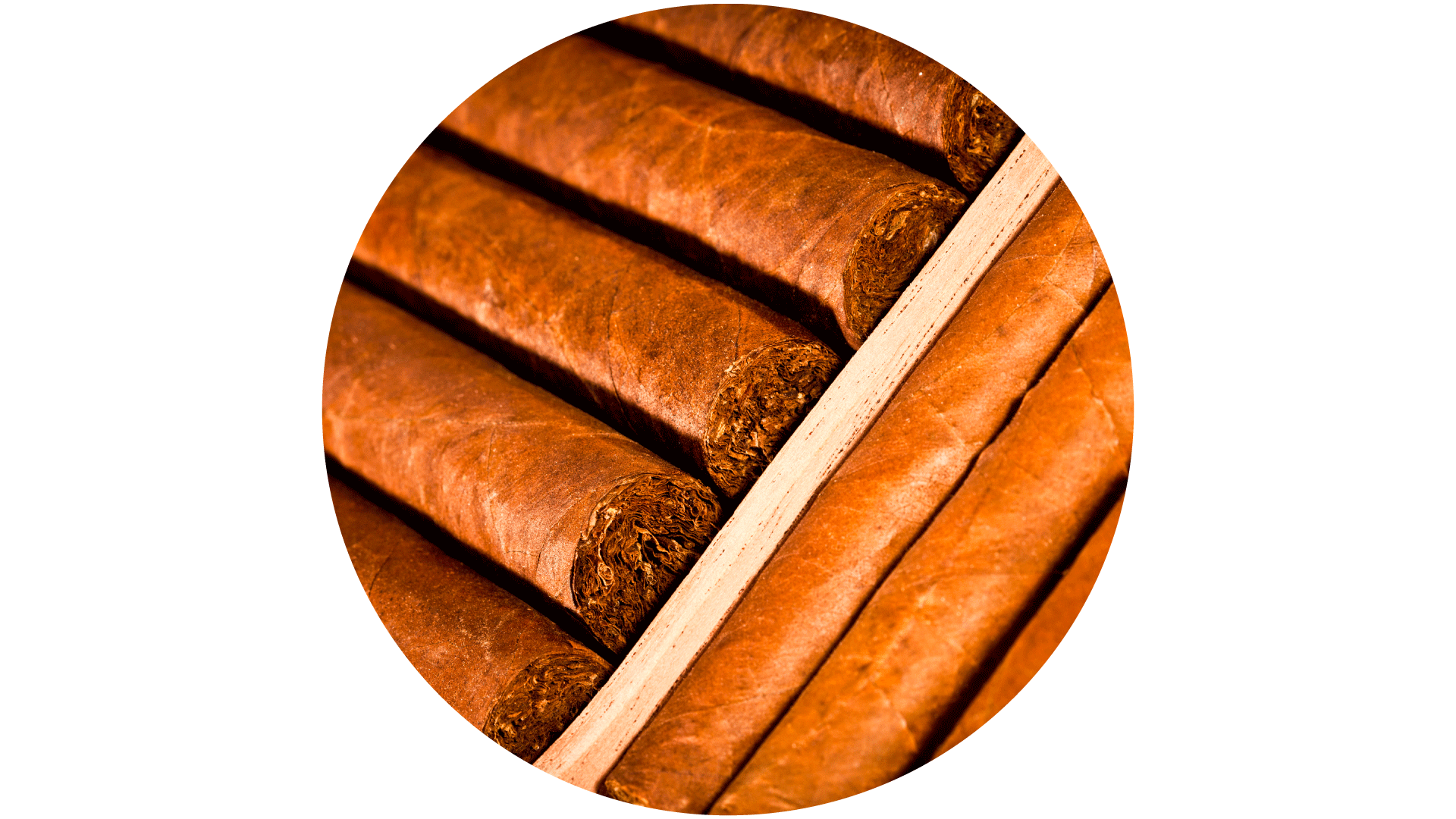 Tobacco Store